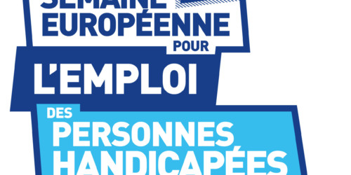 SEEPH 2020 : l'accès à l’emploi des personnes déficientes visuelles reste difficile